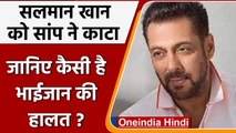 Salman Khan को Snake ने काटा, Panvel Farm House पर हुआ हादसा, अस्पताल में भर्ती | वनइंडिया हिंदी