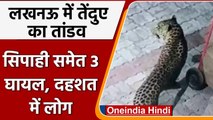 Lucknow में Leopard का तांडव, घनी आबादी वाले इलाके में घूम रहा, 3 को कर चुका है घायल |वनइंडिया हिंदी