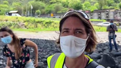 Sauvetage d'un éléphant de mer