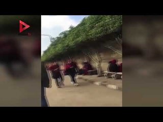 بلالين ولبس أحمر.. أبرز مظاهر الفلانتين في جامعة القاهرة