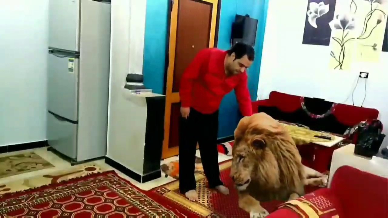 مجموعة خدع كين ماستر اجمل فيديو 2021 خدع زاك كينغ بالعربي best tricks with arabic