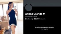 Ariana Grande Deletes Her Twitter Account