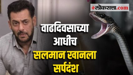 सलमान खानसोबत घडली मोठी दुर्घटना; पनवेलच्या फार्महाऊसवर झाला सर्पदंश