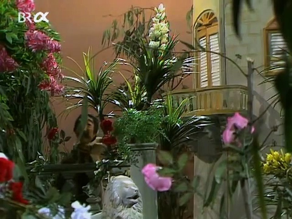 Die Schöne und das Tier