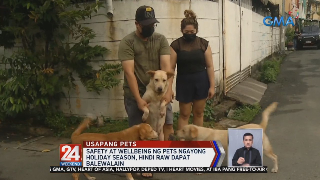 Safety at wellbeing ng pets ngayong holiday season, hindi raw dapat balewalain | 24 Oras Weekend