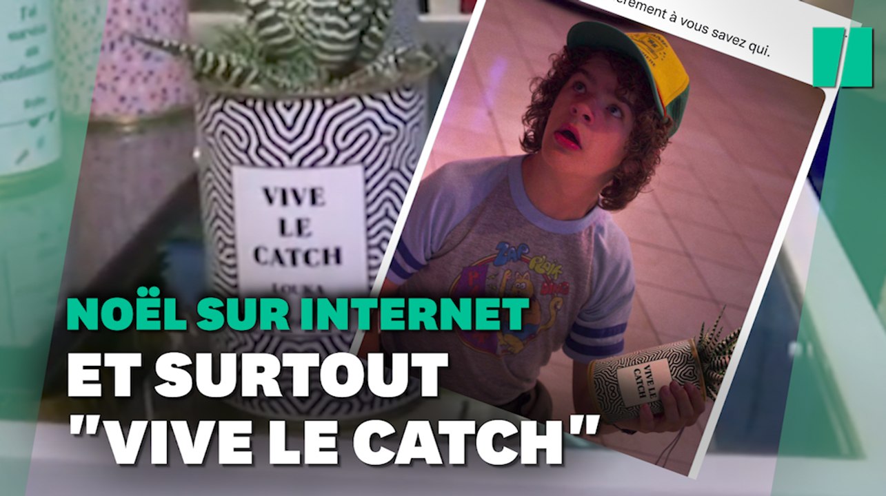 Cette plante en pot "Vive le catch" pour Noël est devenue un mème