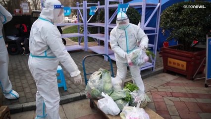 الصين تحجر على 13 مليون نسمة في مدينة واحدة وتبدأ تطهيرا كاملا لكبح انتشاء وباء كورونا