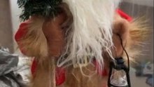 Musical Santa Claus #2