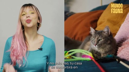 Momentos que toda 'Karen' de un michi entenderá
