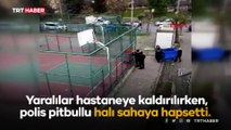 2 çocuğa saldıran pitbullu halı sahaya kilitlediler