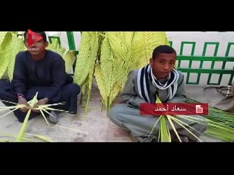 بائعو السعف يستعدون لاحتفال أقباط أسيوط بأحد الشعانين