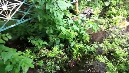 Покатушки 2021(родники)