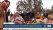 Rescue pups pick toys from "Santa's Sleigh"