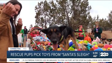Rescue pups pick toys from "Santa's Sleigh"