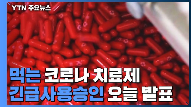 먹는 코로나 치료제 긴급사용 승인 여부 오늘 발표 / YTN