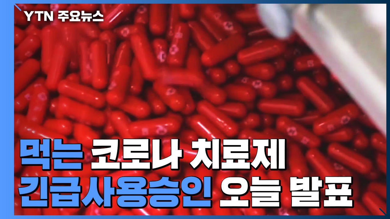 먹는 코로나 치료제 긴급사용 승인 여부 오늘 발표 / YTN