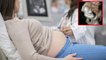 Dünya bu korkunç olayı konuşuyor! Kadının ultrason görüntüsüne bakan doktor hemen yetkilileri aradı