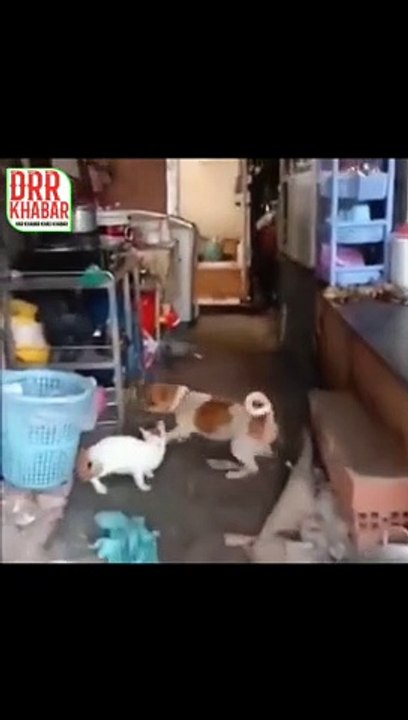 km_20211126-2_1080p(1)