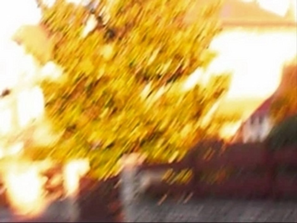 Journée avec mes Choupinette