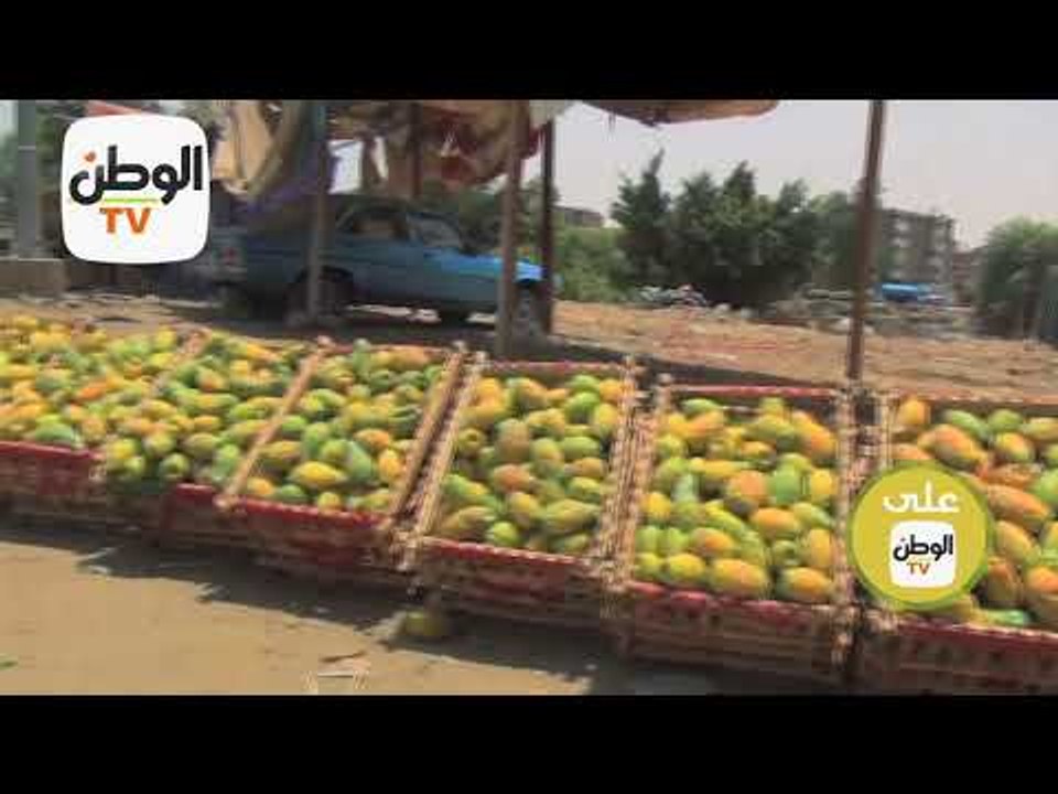 وثائقيات الوطن قريبا علي الوطن TV