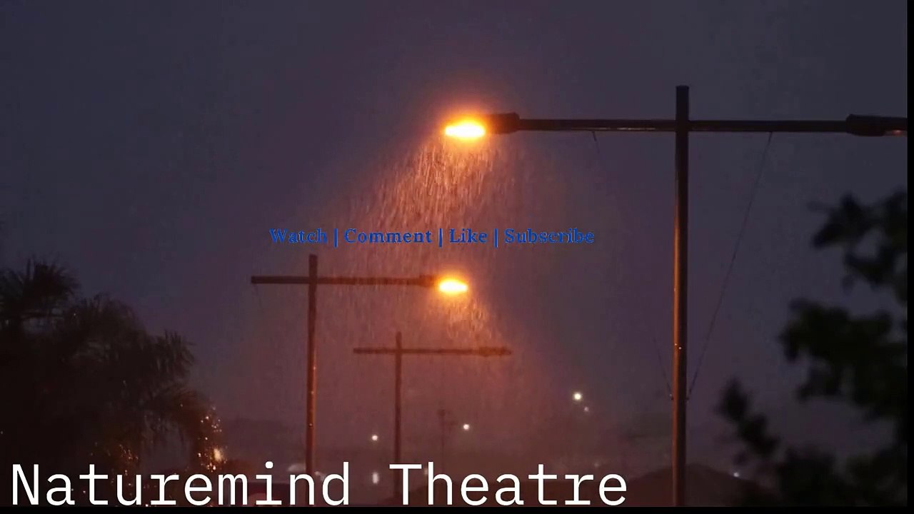 Night Rain On Street Tree Leaves |  For Sleep, Insomnia, Meditation, Relaxing, Study, Reduce Stress