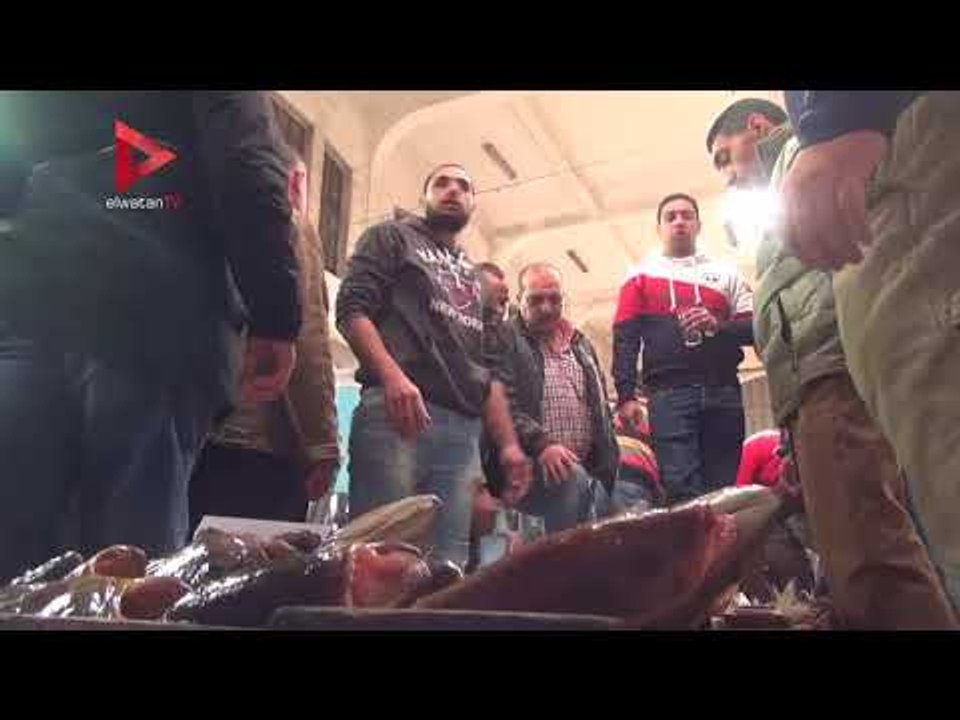 حلقة السمك بـ الأنفوشي : مزادات كل يوم الفجر واللي يقوله المعلم يمشي على الكل