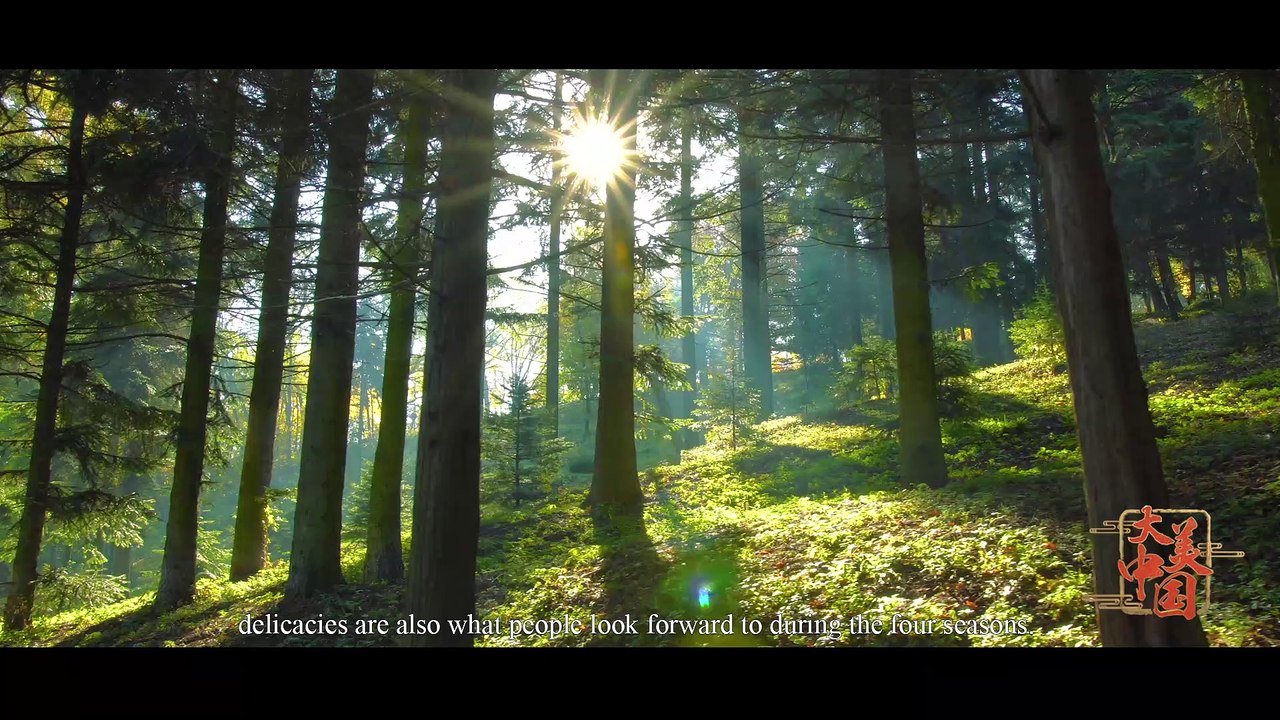 The Great Beauty of China（Episode 5）The Taste of Nature（English version）