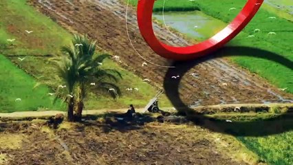 ...النووي للخلايا البالغة على حاله . تشير ت...