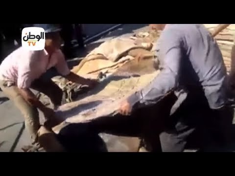 جمارك الدخيلة تحبط محاولة تهريب كميات كبيرة من الحشيش في جلود المواشي