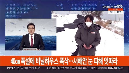 40㎝ 폭설에 비닐하우스 폭삭…서해안 눈 피해 잇따라