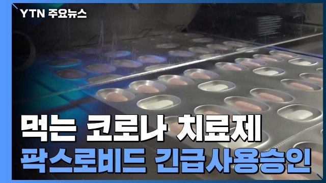 화이자 먹는 치료제 긴급사용승인... 거리두기 연장 여부 금요일 발표 / YTN