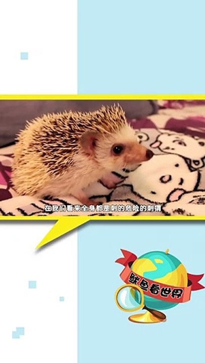 AWW SO CUTE! Cutest animals Videos Compilation Cute moment of the Animals - Cutest Animals #04