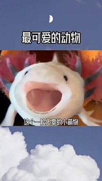 AWW SO CUTE! Cutest animals Videos Compilation Cute moment of the Animals - Cutest Animals #06