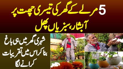 5 Marla Ghar Ke 3rd Floor Pe Abshaar, Sabzian Aur Phal - Shehri Ne Ghar Me Hi Bagh Bana Lia