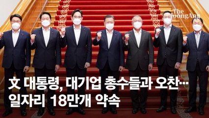 문 대통령, 대기업 총수 만나 “일자리 만드는 건 기업 몫”