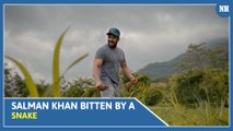 Salman Khan got a snake bite during the Christmas celebration in his Panvel farmhouse