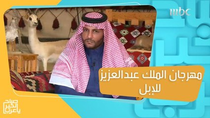 إنطلاق فعاليات مهرجان الملك عبدالعزيز للإبل