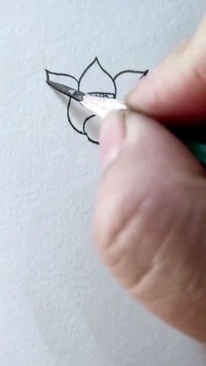 draw beautiful flowers