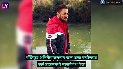 डिस्चार्जनंतर Salman Khan त्याच्या  ५६ व्या वाढदिवसाच्या सेलिब्रेशनसाठी गेला फार्महाऊसवर, करण्यात आली विशेष तयारी