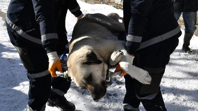 HAYTAP Başkanı isyan etti: Adam karısını dövdü diye bütün erkekleri hapse mi tıkıyorsunuz