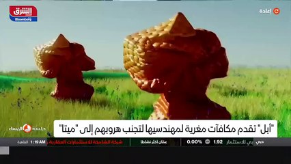 ...عشرين عشرين . لكن الكلام على أسوأ الفروض...