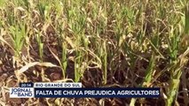 A estiagem prejudica as plantações de soja, arroz e milho no Rio Grande do Sul.