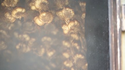 Des Régions à croquer : L'ail fumé