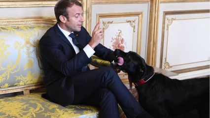 FEMME ACTUELLE - Emmanuel Macron : ce pensionnaire de l'Elysée pour qui il met la main à la poche