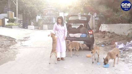 All For Animals Foundation| Archana | Stray Dogs  | Oneindia Telugu