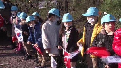 Orman yangınında Güney Koreli vatandaşların bağışladığı fidanlar, Pendik'te hayat buldu