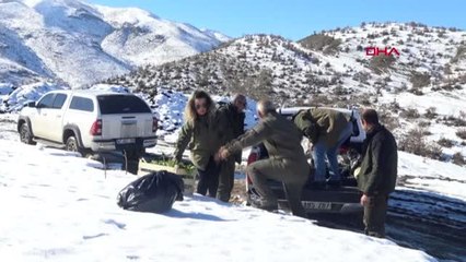 ŞIRNAK'TA YABAN HAYVANLARI İÇİN DOĞAYA YEM BIRAKILDI