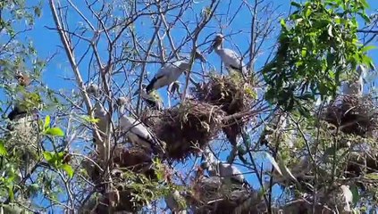 ปราจีนบุรี