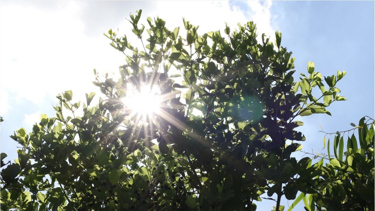 Andros se lance dans le bio avec le lancement de la marque "Mon bio gourmand"