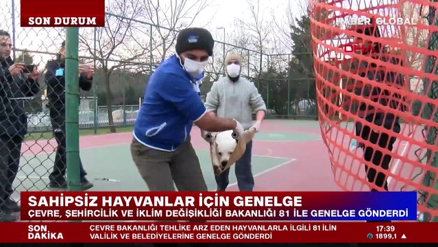 Çevre, Şehircilik ve İklim Değişikliği Bakanlığı'ndan 81 il valiliğine sahipsiz hayvanlarla ilgili genelge